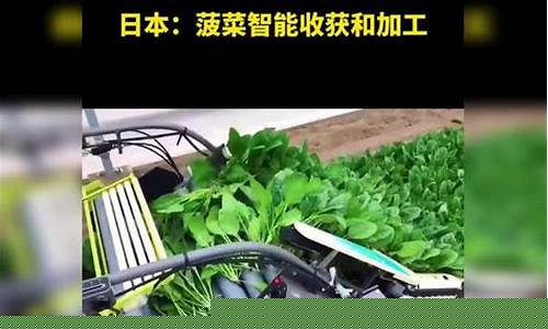 白菜评级网：菠菜信息技术(菠菜科技有限公司) (2)