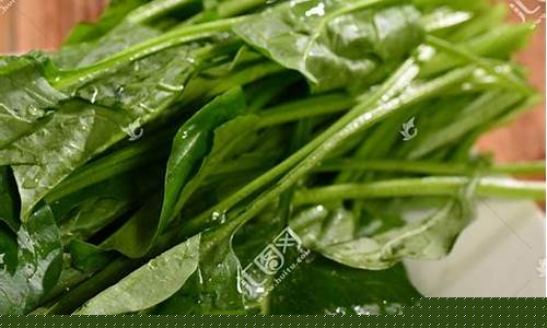世界菠菜公司排行：菠菜排名网(菠菜哪个品种好吃) (3)